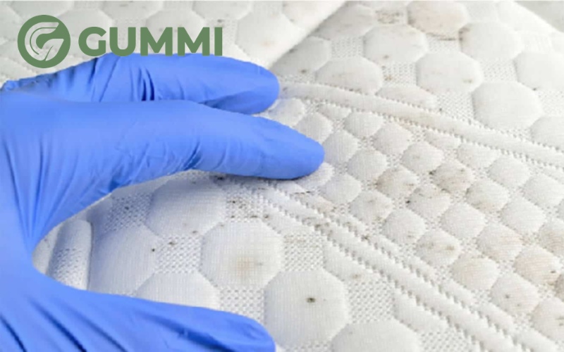 10 cách xử lý nệm cao su bị mốc, trắng sáng như mới 1 Độ ẩm trong không khí tăng cao gây ẩm mốc cho nệm cao su