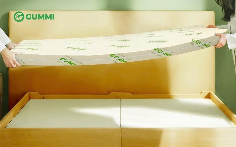 Nệm cao su 5cm: Cập nhật bảng giá và top 7 mẫu nệm bán chạy 1 Nệm cao su dày 5cm thiết kế mỏng nhẹ, dễ di chuyển