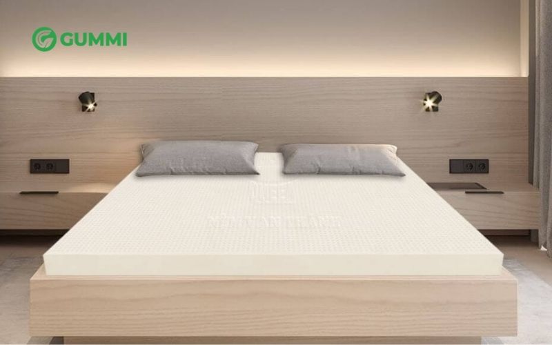 Nệm cao su 5cm: Cập nhật bảng giá và top 7 mẫu nệm bán chạy 4 Nệm cao su dày 5cm Vạn Thành Standard