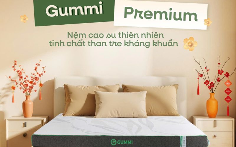 Nệm cao su 1m2x2m: Bảng giá và top 5 mẫu nệm được ưa chuộng 3 Nệm Gummi Premium
