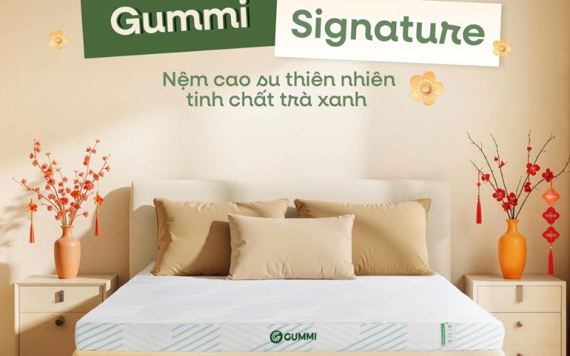 Nệm cao su 1m2x2m: Bảng giá và top 5 mẫu nệm được ưa chuộng 5 Gummi Signature