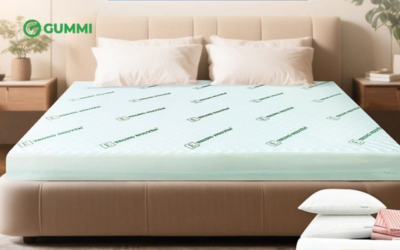 Nệm cao su 5cm: Cập nhật bảng giá và top 7 mẫu nệm bán chạy 5 Nệm cao su non dày 5cm massage Trung Nguyên