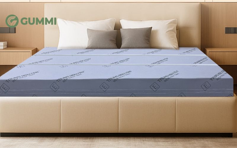 Nệm cao su non Trung Nguyên