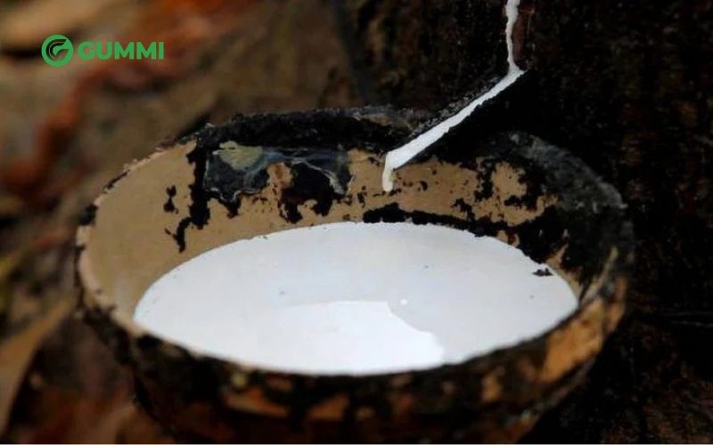 Cao su thiên nhiên: Đặc điểm và ứng dụng trong ngành nệm 3 Tính chất của cao su thiên nhiên