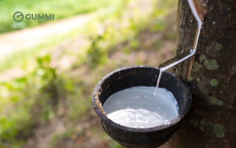 Ưu nhược điểm của cao su thiên nhiên