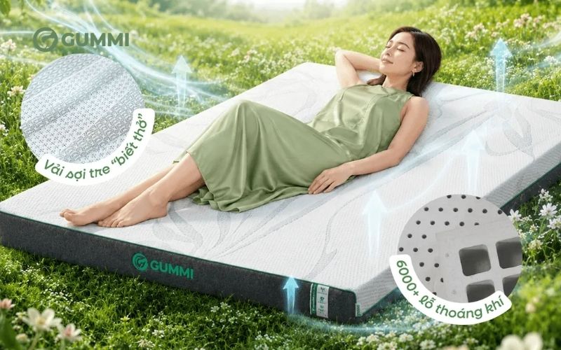 Cao su thiên nhiên thường có cấu trúc lỗ thoáng giúp không khí lưu thông qua bề mặt nệm