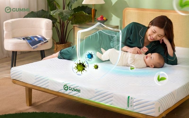 Nệm 1m6x2m giá bao nhiêu? Top 10 mẫu nệm 1m6 x 2m giá rẻ chất lượng 3 Bảng giá nệm 1m6x2m mới nhất 2026