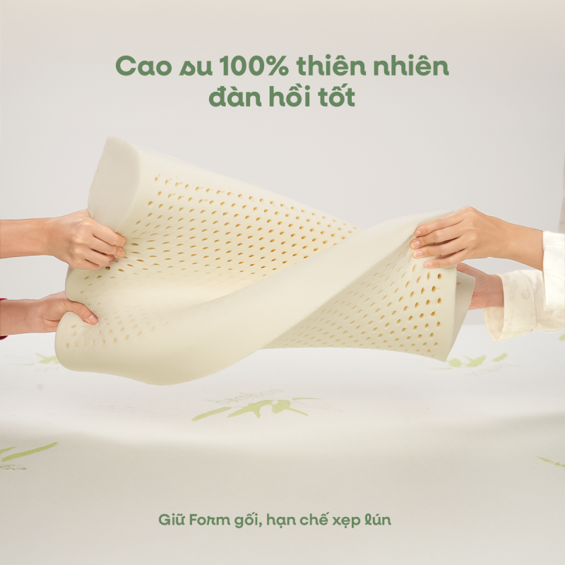 Cao su 100% thiên nhiên – Đàn hồi bền bỉ