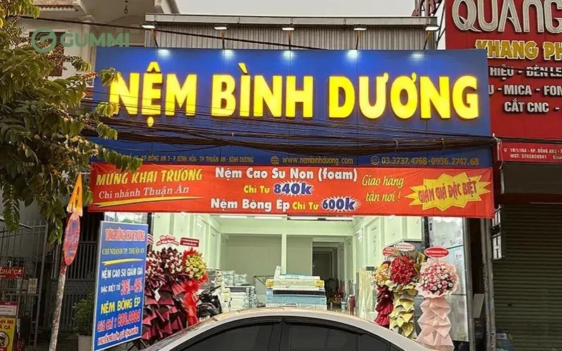 Top 09 địa chỉ mua nệm cao su tại Bình Dương uy tín 3 Nệm Bình Dương cung cấp nhiều sản phẩm nệm chất lượng