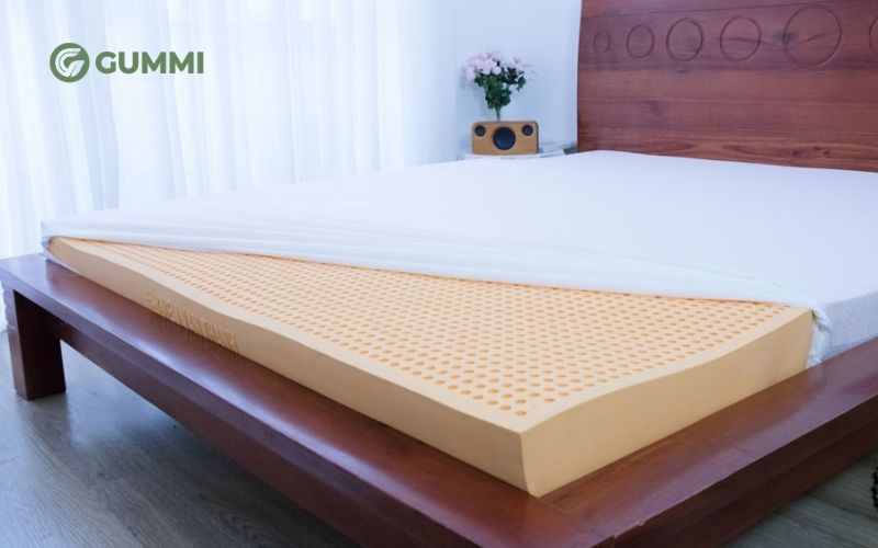 Đại lý nệm cung cấp đa dạng nệm cao su non từ thương hiệu uy tín