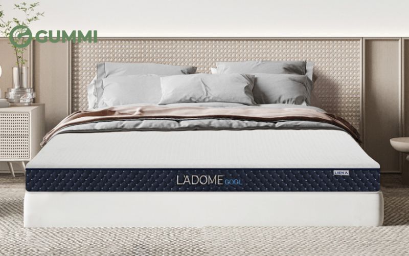 Nệm mềm là gì? Các loại nệm nềm giá tốt bán chạy 2026 6 Đệm mềm Cao Su L'Adome Liên Á