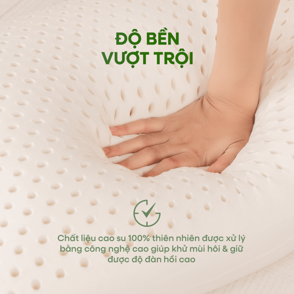 Cao su thiên nhiên nguyên khối – Êm ái nhưng không xẹp lún