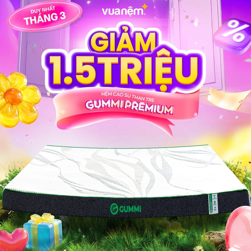 Ưu đãi tháng 3: Ngủ rạng rỡ – Sale hết cỡ 4 Gummi Premium
