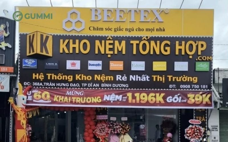 Top 09 địa chỉ mua nệm cao su tại Bình Dương uy tín 6 Kho Nệm Tổng Hợp cung cấp nhiều nệm cao su từ các thương hiệu khác nhau