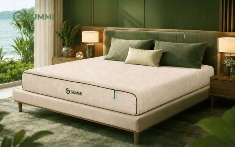 Mua nệm cao su 20cm chính hãng tại Gummi