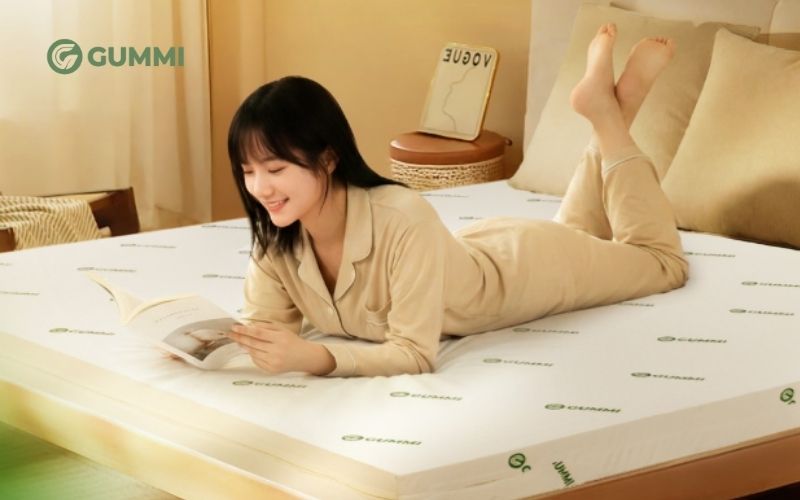 Một trong những thương hiệu được nhiều người đánh giá nệm tích cực hiện nay là Gummi 