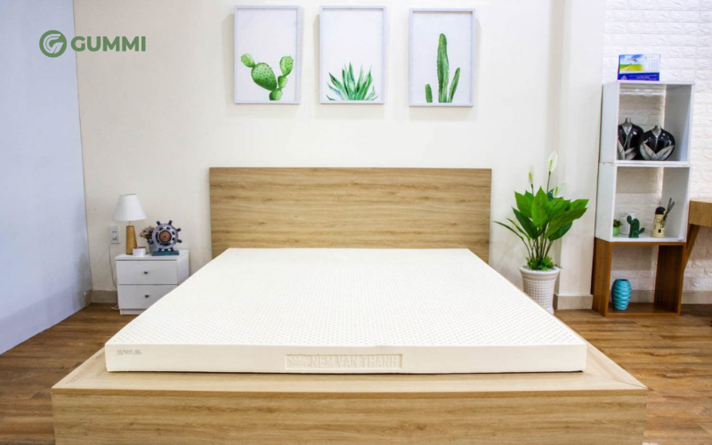 Top 10 địa chỉ mua đệm cao su tại Hà Nội chất lượng 4 Nệm cao su của Vạn Thành