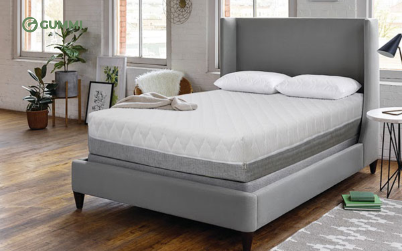 Top 10 địa chỉ mua đệm cao su tại Hà Nội chất lượng 5 Đệm cao su non Everon