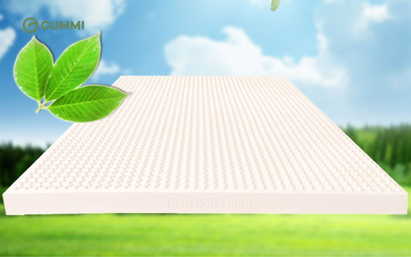 Top 10 địa chỉ mua đệm cao su tại Hà Nội chất lượng 8 Nệm DORUCO - Đồng Phú