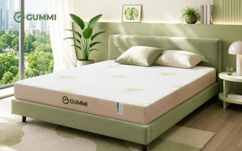 Cao su nhân tạo là gì? Quy trình sản xuất và ứng dụng thực tế 14 Mua nệm cao su thiên nhiên chất lượng thương hiệu Gummi