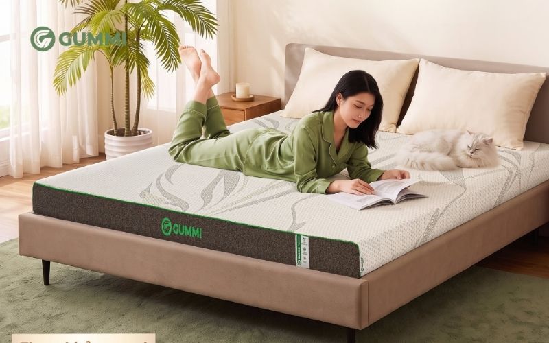 Mua nệm cao su thiên nhiên, nệm cao su foam chính hãng tại Gummi
