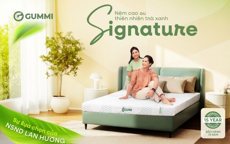 Nâng cấp nệm mới chất lượng hơn tại Gummi