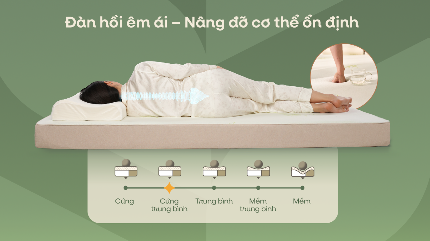 Đàn hồi êm ái - Nâng đỡ cơ thể ổn định