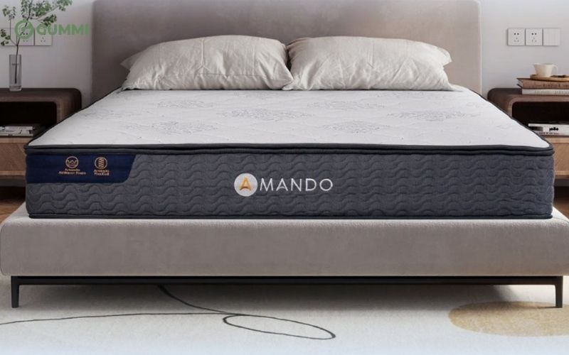 Nệm 1m6x2m giá bao nhiêu? Top 10 mẫu nệm 1m6 x 2m giá rẻ chất lượng 10 Nệm lò xo Amando Elite Original