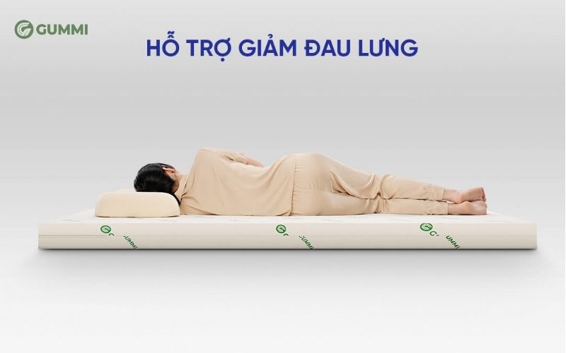 Nệm 1m6x2m giá bao nhiêu? Top 10 mẫu nệm 1m6 x 2m giá rẻ chất lượng 4 Nệm cao su đa tầng Gummi Lite dày 10cm