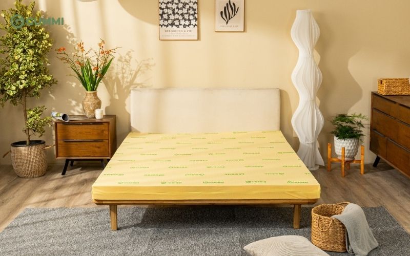 Nệm 1m6x2m giá bao nhiêu? Top 10 mẫu nệm 1m6 x 2m giá rẻ chất lượng 1 Nệm 1m6x2m là gì