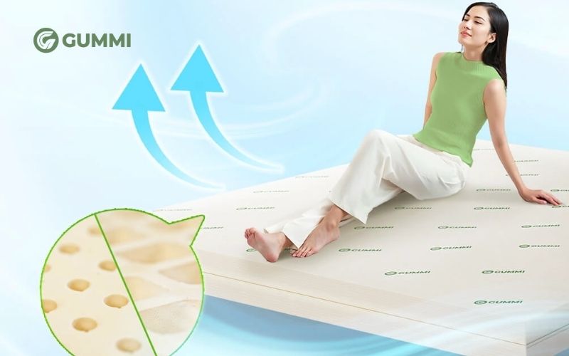 Cập nhật bảng giá nệm 1m8x2m và top 5 nệm 1m8x2m đáng mua 5 Nệm cao su thiên nhiên Gummi Classic