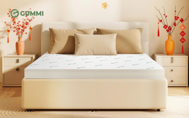 Top 9 mẫu nệm cao su 1 người nằm được ưa chuộng năm 2026 6 Gummi Lite