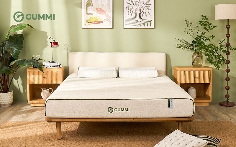 Nệm cao su 3in1 Gummi Hybrid Plus