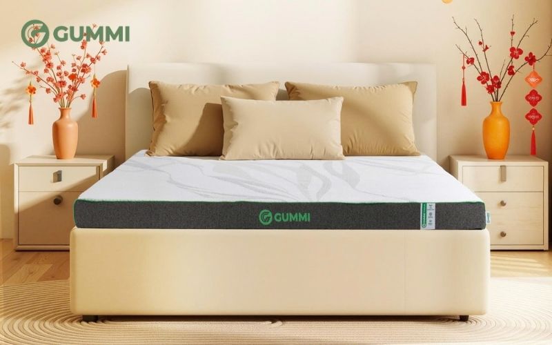Khi mua nệm cao su 80x200 cần tìm hiểu kĩ trước mua