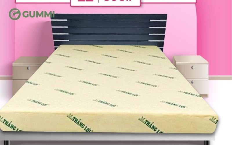 Nệm cao su Thắng Lợi là thương hiệu nệm cao su non với mức giá hợp lý và chất lượng ổn định