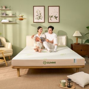 Nệm cao su Gummi Hybird