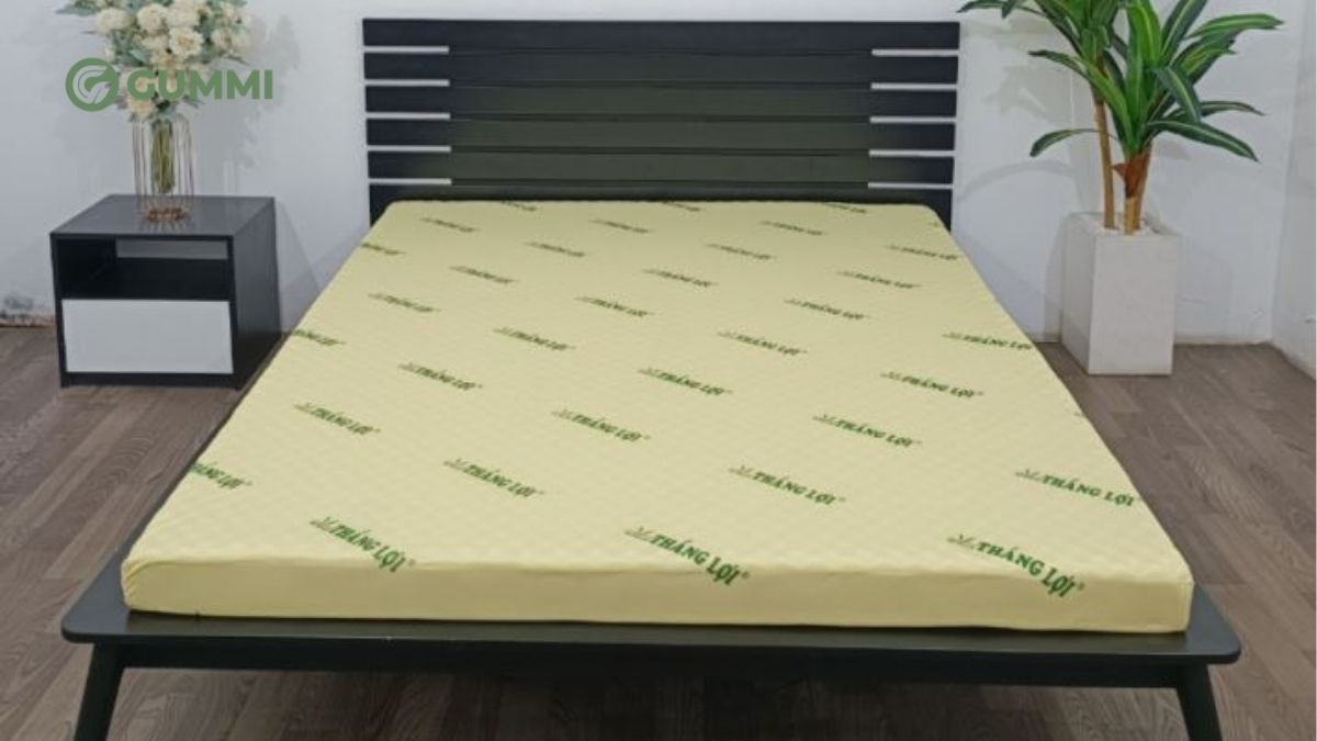 Nệm cao su massage là gì? Kinh nghiệm chọn mua nệm chất lượng