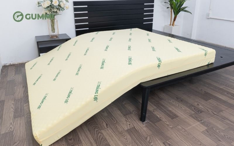Nệm cao su massage là gì? Kinh nghiệm chọn mua nệm chất lượng 5 Nệm cao su non massage Thắng Lợi