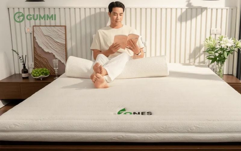 Nệm cao su thiên nhiên nhập khẩu Gummi 7zones