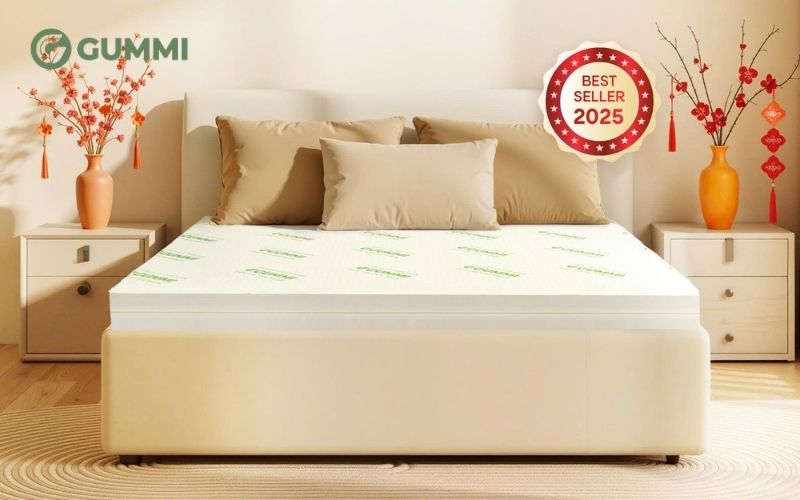 12+ Mẫu nệm cho người già, người lớn tuổi chất lượng 3 Nệm cao su Gummi Classic có khả năng nâng đỡ cột sống tối ưu và hỗ trợ giảm đau lưng hiệu quả