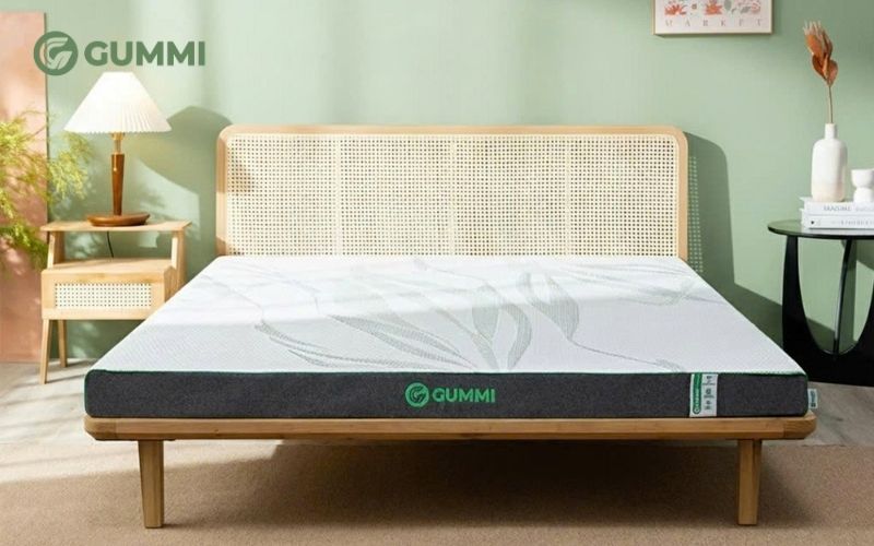 12+ Mẫu nệm cho người già, người lớn tuổi chất lượng 7 Nệm cao su Gummi Premium là lựa chọn lý tưởng cho người lớn tuổi nhờ khả năng nâng đỡ ổn định và hỗ trợ giảm đau nhức hiệu quả