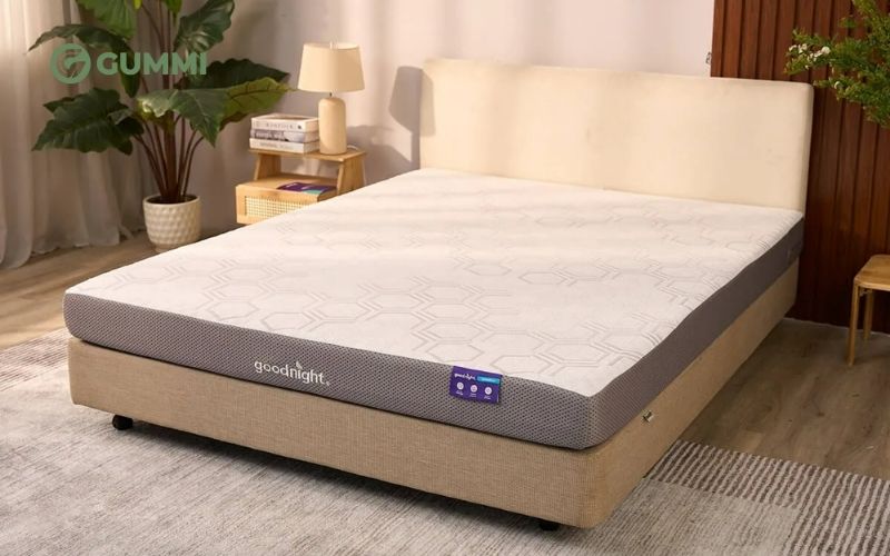 Nệm foam Goodnight Massage 2.0 (Hachi)