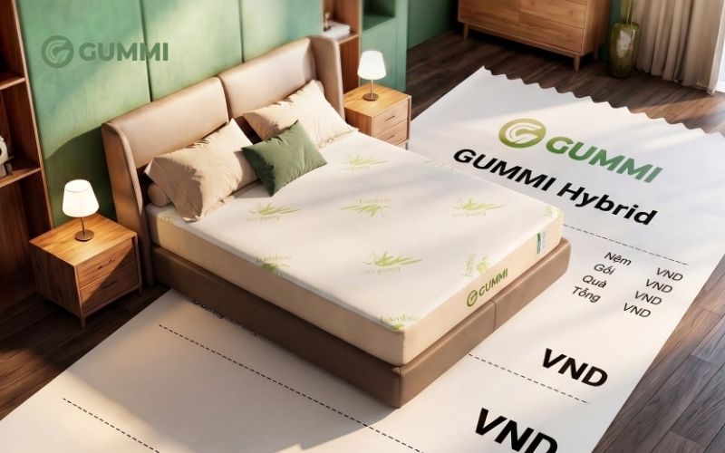 Nệm Gummi - Giải pháp thay thế nệm cao su mỏng 3cm