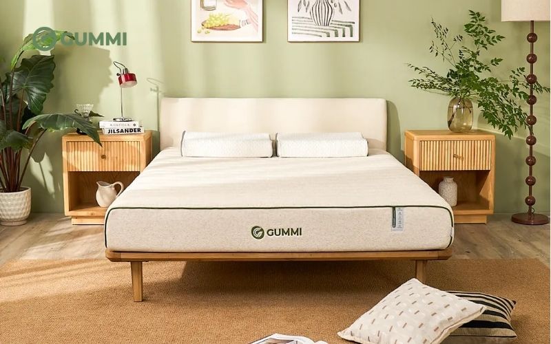 Nệm cao su 3in1 Gummi Hybrid Plus