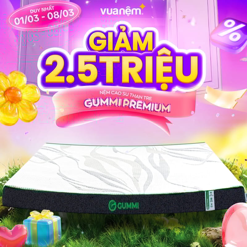 Ưu đãi 8/3 từ Gummi: Tuần Lễ Của Nàng – Quà Sang Ngập Tràn 4 Nệm Gummi Premium
