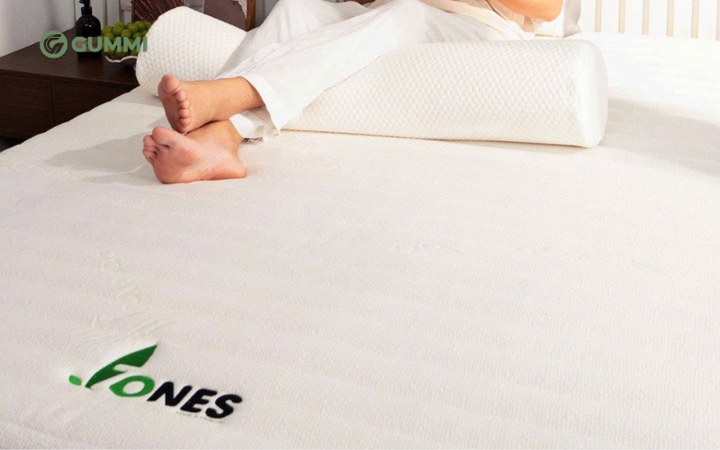 Nệm mềm là gì? Các loại nệm nềm giá tốt bán chạy 2026 4 Đệm mềm cao su Gummi 7zones