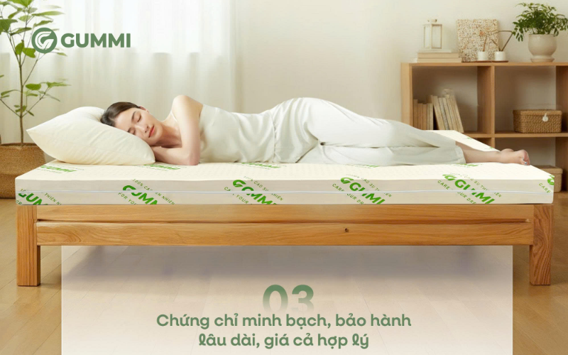 Địa chỉ bán đệm sinh viên giá tốt, uy tín