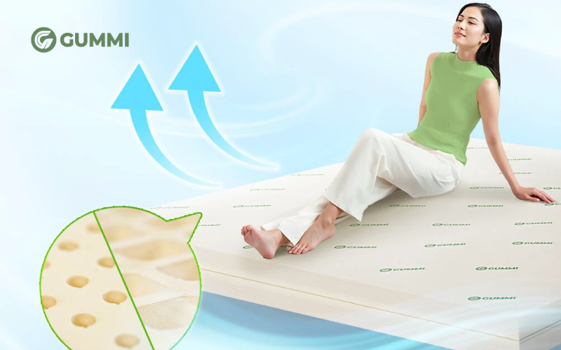 Nệm cao su thiên nhiên Gummi Classic