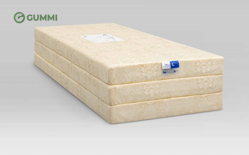 Nệm Goodnight Eva chất lượng cho sinh viên