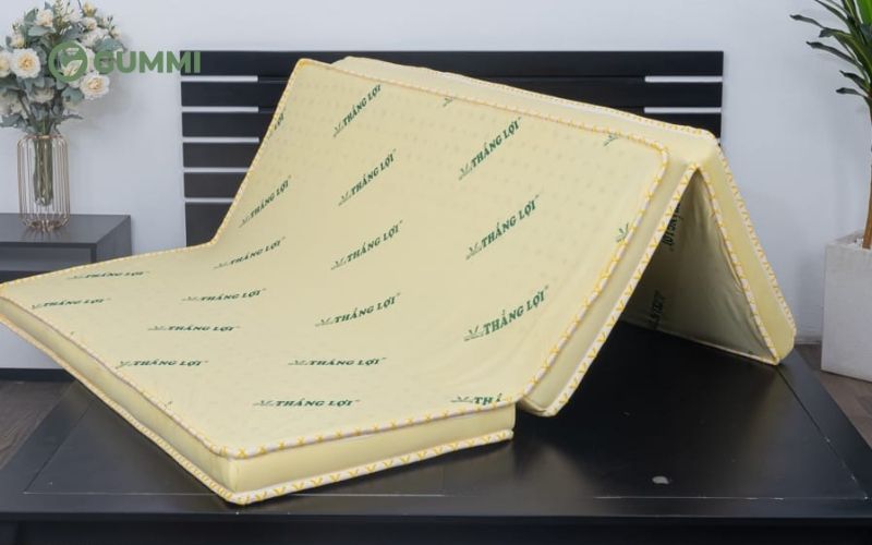 Top 10+ nệm văn phòng êm ái, tiện lợi, giá rẻ 2026 5 Đệm văn phòng cao su Thắng Lợi gấp 3